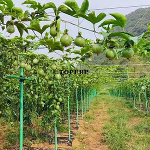 Passion Fruit Column Seedlings Fruit Tree Planting Support Rod Fiberglass Tube Stand Sunshade <b>Net</b> - Product Image 3