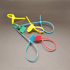 Factory Sale Various Widely Used Nylon Cable Zip Ties Tags with Label - Product Image 3