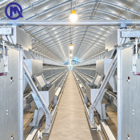 Cage à œufs pour volailles de type H, à faible consommation d'énergie, pour 10000-50000 oiseaux, structure anticorrosion, pour ferme, Caire, Égypte
