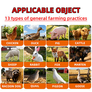 Additivo Alimentare ChenYuan Golden Vitasol, Polvere di Vitamine e Amminoacidi, Migliora la Sopravvivenza e l'Immunità dei Pulcini, Promuove la Crescita per Pollame - Product Image 5