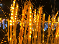 Lampe LED d'extérieur en forme de blé, support lumineux, couleurs d'émission blanc chaud et jaune, en plastique, pour jardin, place publique, Noël
