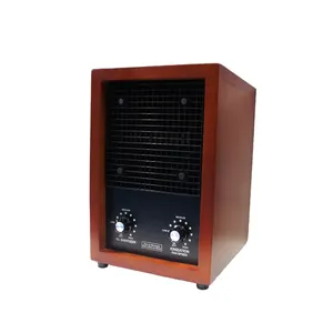 Machine de générateur de purificateur d'air d'ozone 500 mg/h pour le nettoyage des fruits