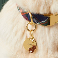 Perhiasan Hewan Peliharaan Baja Tahan Karat Berkualitas Tinggi Terlaris Berbagai Gaya Liontin Kalung Anjing Kucing Enamel Warna-warni Grosir