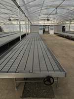 Système hydroponique de table à flux et reflux sur banc roulant pour serre