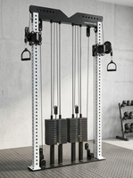 Système de poulies murales multifonctionnel DW Sports Gym Home, entraîneur croisé, demi-rack à squats