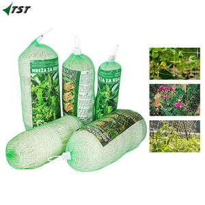 Filet de treillis 100 % PP <span class=keywords><strong>vierge</strong></span> 8 g/m² 10 g/m² pour la culture de fleurs et de végétaux grimpants - Product Image 4