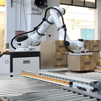 Lengan Robot Kolaboratif Industri Huayan S30 Beban Angkut 30kg 6 Axis Cobot PLC Motor Baja Tahan Karat untuk Palletizing Otomatis
