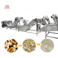 Ligne de Production Entièrement Automatique de Poudre de Gingembre, Oignon, Ail et Curcuma Déshydratés, Capacité 500 Kg/H