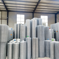 Grillage soudé galvanisé à chaud, antirouille, pour la protection des fermes avicoles