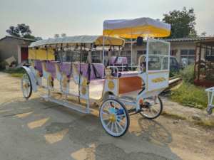 Vehículo de transporte personal eléctrico de 11 plazas/4 filas de asientos de carruaje de caballos - Product Image 4