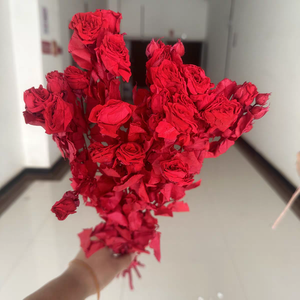 Ramo de Flores Secas en Oferta 2026, Flores Secas, Rosa Preservada, Eterna, Duradera, Infinita, Inmortal, Múltiples Rosas, Regalo - Product Image 1