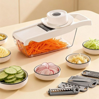 Coupe-légumes multifonctionnel, mandoline de cuisine pour pommes de terre et radis, râpe avec protège-mains de sécurité