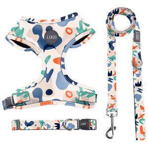 Arnés para mascotas de alta calidad, juego de cuerda de tracción, estilo coreano a la moda, arnés para cachorros y gatos, correa de tela de malla transpirable para perros - Product Image 1