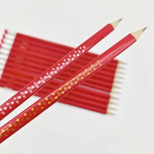 Sıcak satış OEM Lapis standart kalem üçgen özel Logo ahşap HB 2B kalem silgi ile