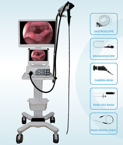 Sistema de Cámara de Endoscopia Portátil Quirúrgica de 1080P para Cirugía Veterinaria con Endoscopio, Laparoscopia - Product Image 4
