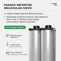 Concentrateur d'oxygène pour l'apnée du sommeil Cpap Pm2.5 Filtre électronique anti-ronflement