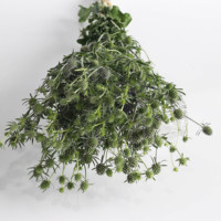 DIY Fleurs fraîches coupées naturelles, plantes florales au toucher réel, Eryngium Spp. Love Fruit Sea Holly pour la décoration de mariage et de la maison