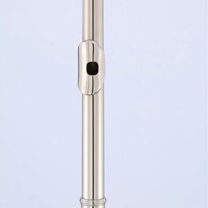 <span class=keywords><strong>Flûte</strong></span> à bec en nickel plaqué à 16 trous, accordage en Do, instrument argenté - Product Image 4