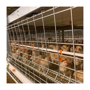Yeni H tipi çelik galvanizli otomatik Broiler katmanlı kafes tavuk yetiştiriciliği perakende hayvan kafesi ekipmanları - Product Image 2