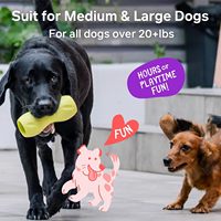 Penyangga Bully Stick PAWLICKO untuk Anjing, Desain Pengunci Pin Baja Membantu Mencegah Penelan Kepala Stick, Penyangga Kunyah Anjing yang Tahan Lama untuk Bully Stick