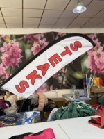 Drapeau publicitaire extérieur économique, drapeau de sac à dos avec impression numérique, matériau en polyester, style défilant, utilisation pour l'affichage