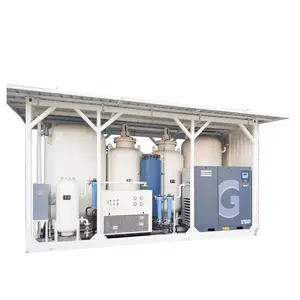 High Quality 100% Natural Nitrogen Gas Generator Plant From China Nitrogen Generator PSA Industrial Nitrogen Generator