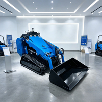 Tragbarer Mini-Dieselmotor-Raupenlader mit EPA-Zertifizierung und Hoher Effizienz für Gartenarbeiten