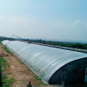 Kleine Solar gewächshaus Doppel bogen verzinkte Stahl konstruktion Wasserdichte warme Stepp decke Kalter Winter Warme passive Solaranlagen PE - Product Image 3