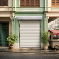 Portes commerciales personnalisées en usine, porte enroulable en alliage d'aluminium pour les constructeurs individuels, porte de devanture de magasin de détail