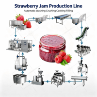ORME Automatische Fruitjam Productielijn Tomatenpuree Aardbei Blauwe Bes Framboos Rode Dadel Peerjam Verwerkingsmachine