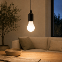 Ampoule LED A60 basse tension 12V 24V 48V DC AC 7W 9W 12W E27 E26 B22, ampoule à intensité variable pour éclairage intérieur