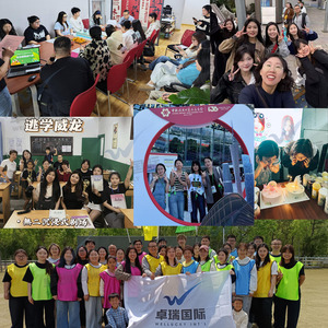 Vận chuyển <span class=keywords><strong>container</strong></span> 40 chân cao Cube sử dụng và New 40ft & 20 ft cho bán sử dụng 20gp 40gp 40hq khô vận chuyển <span class=keywords><strong>container</strong></span> - Product Image 6