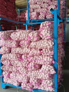 Cina fornitore all'ingrosso di aglio di verdure fresche di alta qualità a buon mercato prezzo all'ingrosso all'ingrosso prezzo poco costoso - Product Image 3