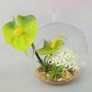 Boule de verre ronde plante, à offrir en cadeau