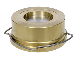 Válvula de Retención con Brida GESTRA RK86 DN100 PN40 para Calderas RK86 GESTRA RK86 Válvula de Retención GESTRA Alemania - Product Image 4