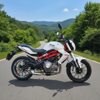 <strong>Best</strong>-<strong>selling</strong> <strong>Benelli</strong> Huanglong 300cc Two-cylinder Fuel <strong>Motorcycle</strong>. It Has Powerful Engine Also Suitable for Daily Commuting.