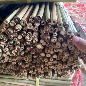 Venta al por mayor grandes postes de bambú Vietnam tratado Moso tubo de poste de bambú para el panel de pared y la estructura al aire libre de precio de fábrica - Product Image 4