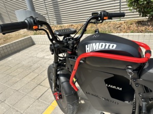 Retro-style Adult Bike-outdoor Adventure City Commuting Wide Tires Brushless Motor Aluminum Frame 13ah X11 High-powered Motor 5 - Product Image 4