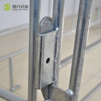 Caja Individual Para Cerdo En Granja De Tubo De Acero Casa De Gestacion Minorista