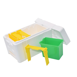 Queen Bee accoppiamento Copulate Box Nucs Mini Hive Plastic Frames Excluder allevamento propagazione strumenti per l'apicoltura