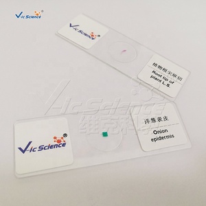 Juego de 100 Portaobjetos de Microscopio con Imágenes Claras para <span class=keywords><strong>el</strong></span> Estudio de Células Animales y Vegetales, Equipo de Laboratorio Biológico, <span class=keywords><strong>Ciencia</strong></span> Médica - Product Image 5