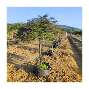 HOKBG 5/10/15 Anpflanzbeutel Baumsamen-Topf Fruchtstoff Pflanzentöpfe Blumentopf 100 Gallonen Anbaubeutel zum Anpflanzen von Gemüse