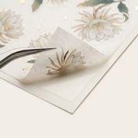 Feuilles d'autocollants Washi personnalisés à dorure à froid, motifs botaniques, astrologiques, vintage, pour journal, agenda, carnet, découpés à la forme