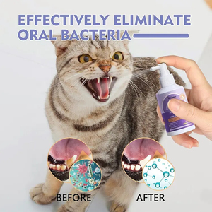 Qbellpet Factory – Spray buccal 50 ml à prix <span class=keywords><strong>de</strong></span> gros pour éliminer la <span class=keywords><strong>mauvaise</strong></span> <span class=keywords><strong>haleine</strong></span> – Soin bucco-dentaire et corporel - Product Image 5