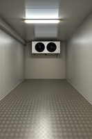 Conteneur Réfrigéré Chambre Froide pour Viande, Fruits de Mer, Produits Laitiers, Aliments Surgelés – Solution de Stockage Mobile – Fournisseur d'Usine
