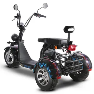 keranjang sepeda motor skuter Suppliers-EEC Sepeda Roda Tiga Citycoco EU Gudang dengan Ban 10 Inci Skuter Tiga Roda dengan Keranjang Belakang Sepeda Motor Skuter