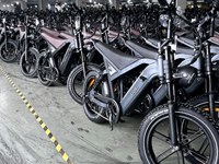 Bicicleta Eléctrica Todoterreno GT20 de 7 Velocidades, Motor sin Escobillas de Alta Velocidad de 48V, Batería Oculta, Cuadro de Acero, Resistente al Agua IP54, Doble Suspensión