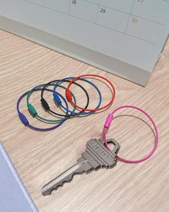 Anneau de porte-clés de câble de serrure de vis d'acier inoxydable enduit coloré de YIWANG - Product Image 5