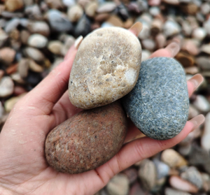 Vente directe d'usine de galets naturels et polis, roches paysagères, pierres de jardin, prix de gros les plus bas - Product Image 5