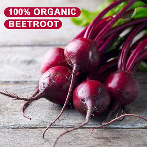 天然有機赤ビーツエキス粉末 ビーツ根粉末 - Product Image 2